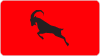 1. FC Koln